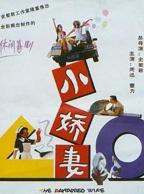 《小妻子》在线观看免费版电视剧蓝光未删减版第01集