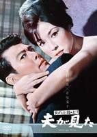 《丈夫看见了》HD中字完整版_高清视频免费在线观看