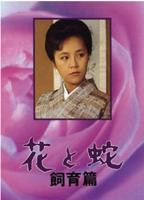 《花与蛇 饲育篇》_免费观看高清电影HD国语_高清完整视频在线