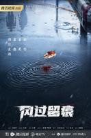 《风过留痕》电视剧免费观看全集完整版高清